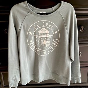 Smokey the bear sweater . Size XL ( smaller fit ) . Pretty blue/green color
